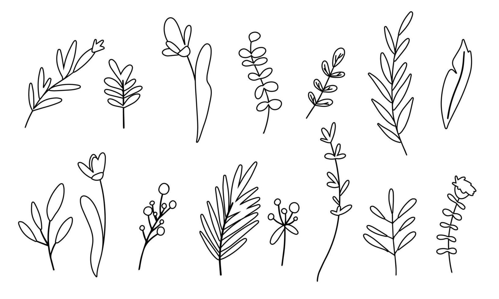 set di fiori vettoriali, erbe e foglie di design. illustrazione vettoriale. linea d'arte disegnata a mano. vettore