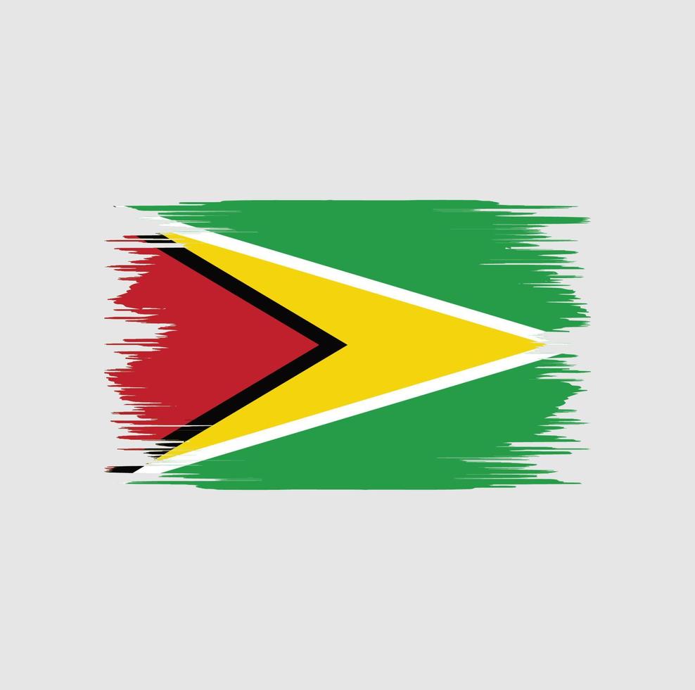 pennello bandiera della Guyana vettore