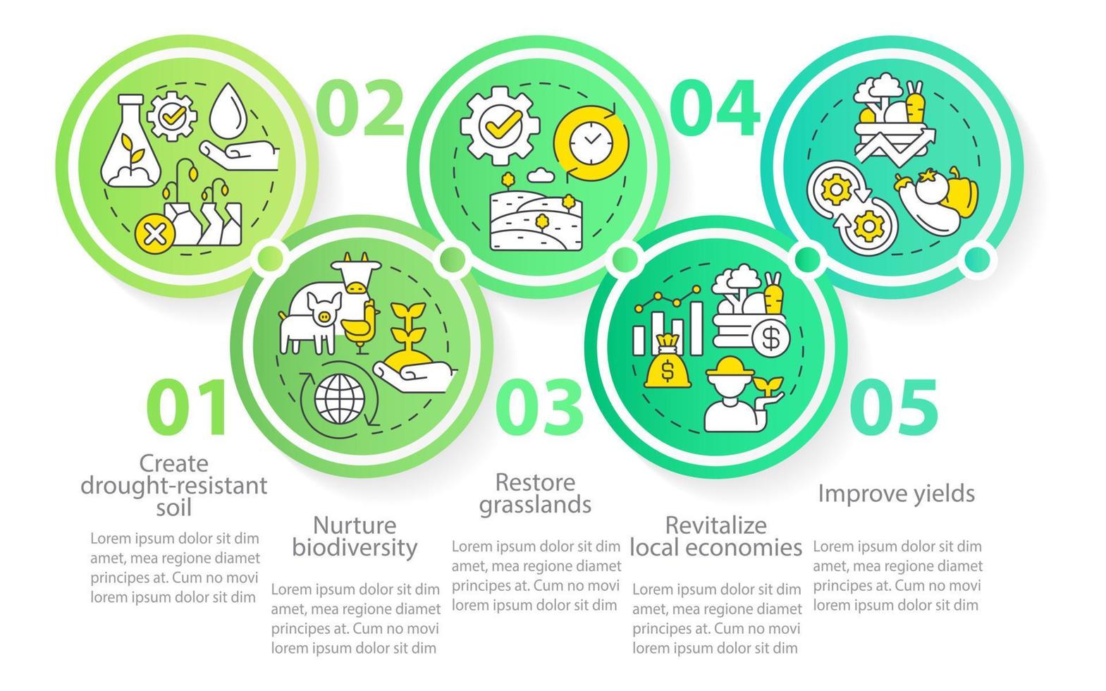 passa al modello di infografica del cerchio della cultura rigenerativa vettore