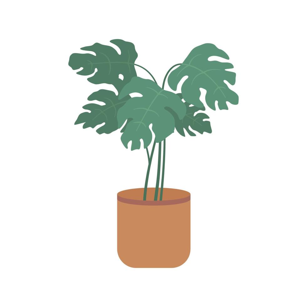 fiore di monstera in una pentola. pianta in vaso in stile piano isolato su priorità bassa bianca. illustrazione vettoriale