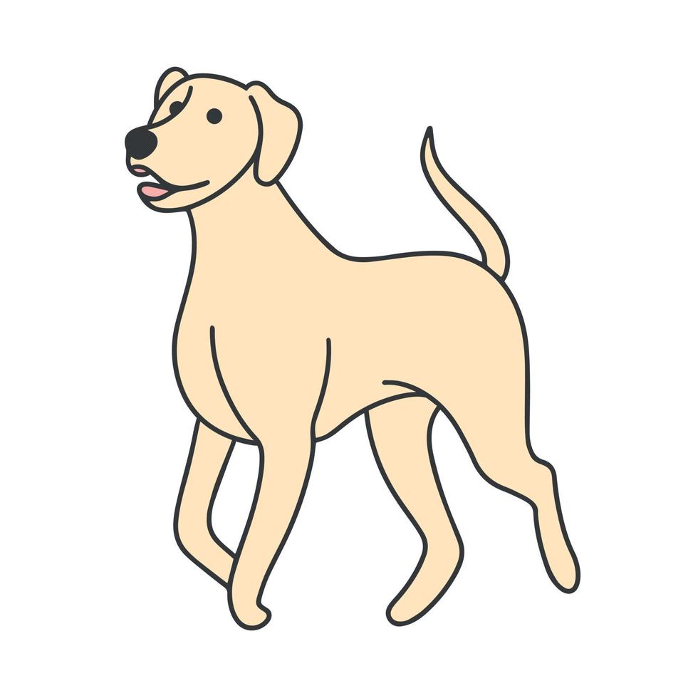 illustrazione di doodle isolato labrador vettore