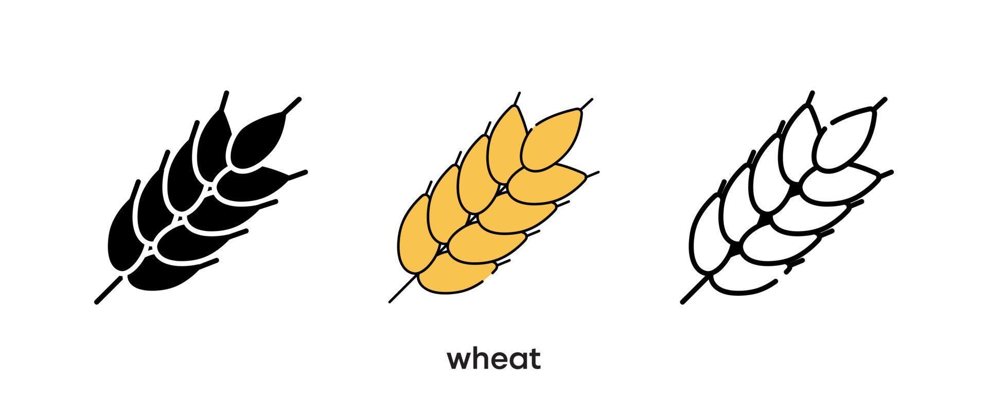 disegno dell'icona di grano. icona di grano in silhouette, colorata e lineare. illustrazione vettoriale della linea dell'icona del grano isolata su uno sfondo pulito per il design del logo dell'applicazione mobile web. linea moderna.