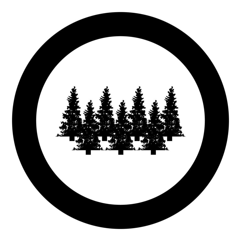 Abete natale conifere abete rosso pineta boschi sempreverdi conifere silhouette in cerchio rotondo colore nero illustrazione vettoriale contorno solido stile immagine