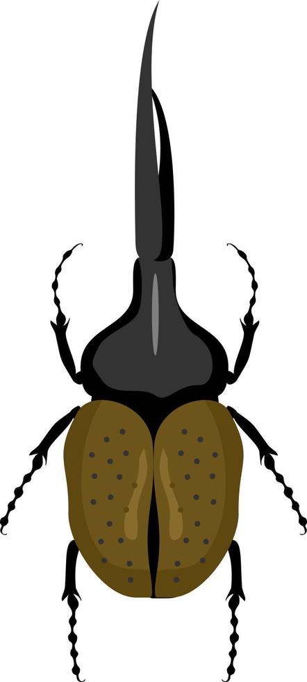 scarabeo di Ercole. vista dall'alto vettore