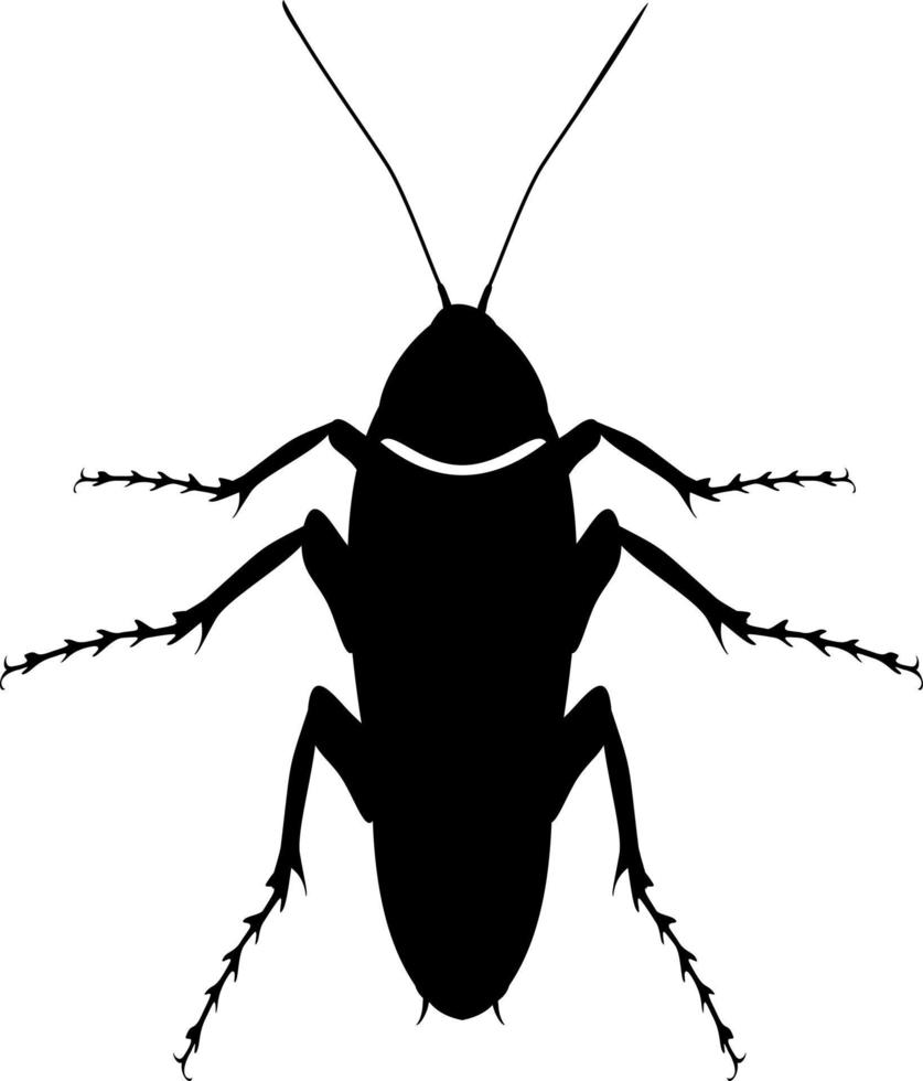 segno grafico di scarafaggio. illustrazione della siluetta dello scarafaggio vettore