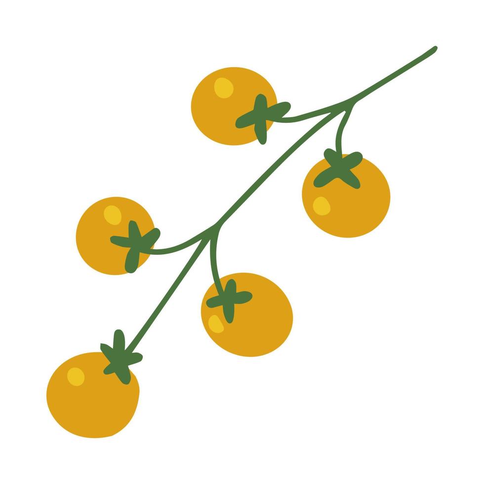 ciliegia gialla del pomodoro fresco su un ramo. cibo ecologico biologico dalla fattoria. fumetto disegnato a mano illustrazione vettoriale isolato su sfondo bianco