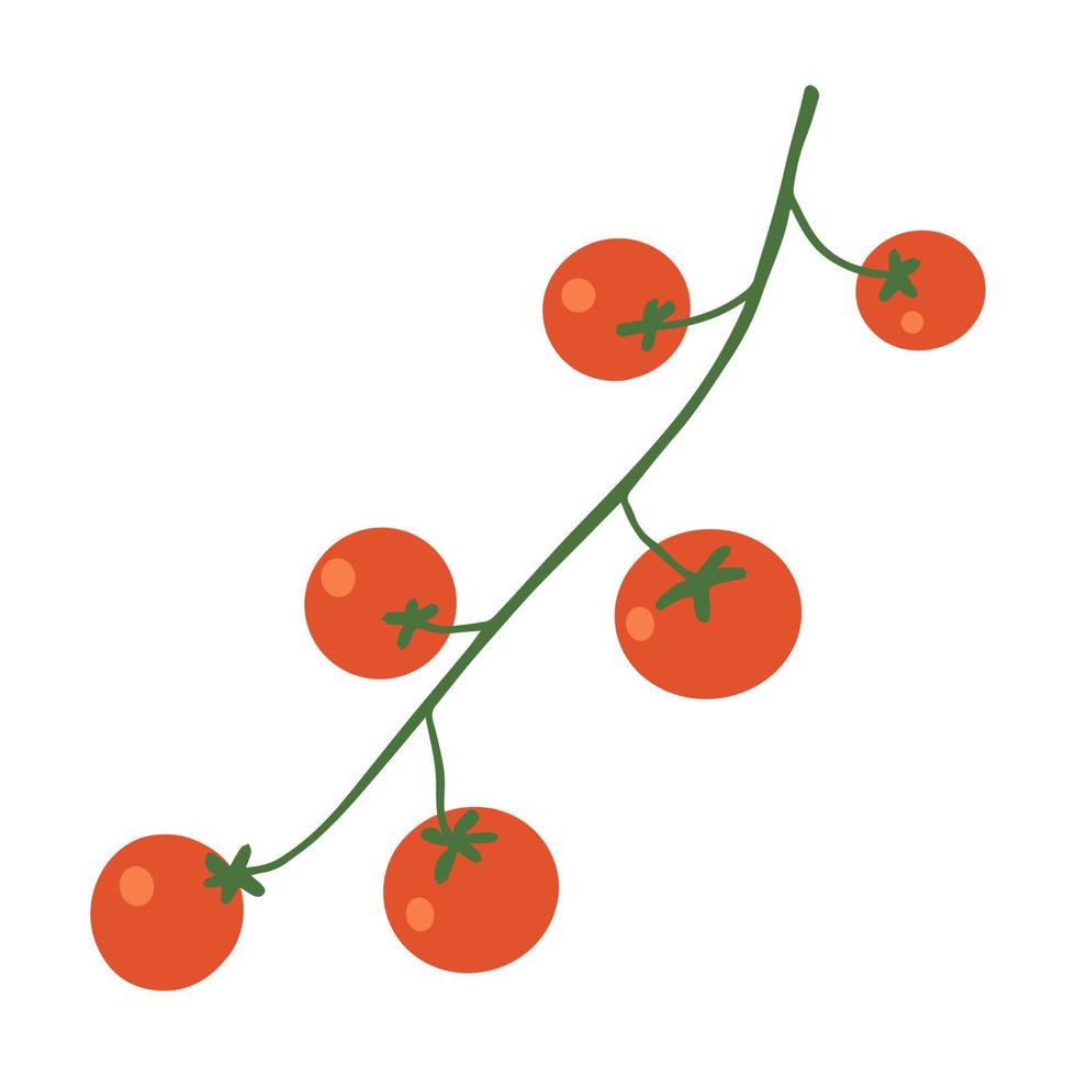 pomodoro ciliegino delizioso rosso su un ramo. cibo ecologico biologico dalla fattoria. illustrazione vettoriale disegnata a mano piatta isolata su sfondo bianco