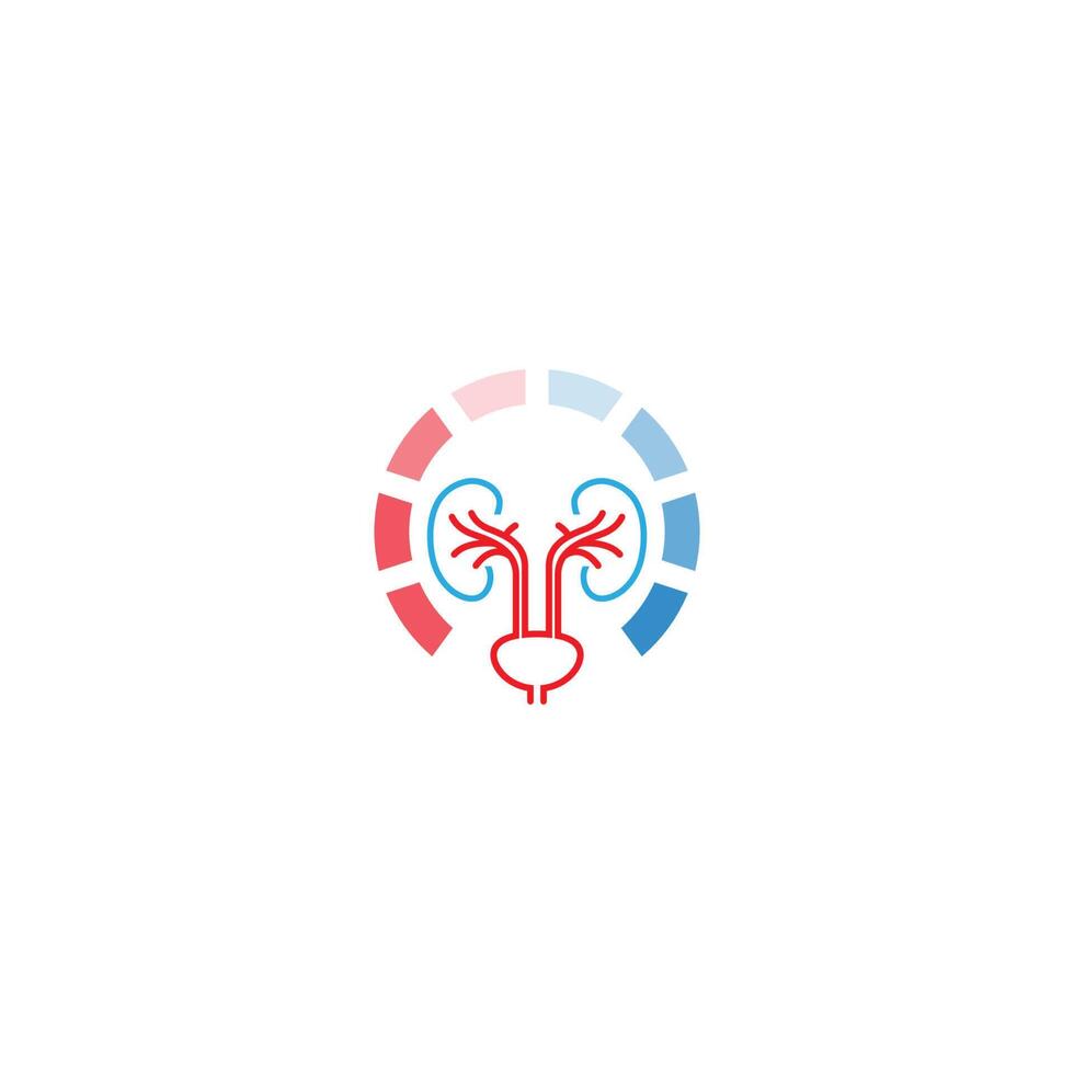logo di urologia, icona del logo del rene sana vettore