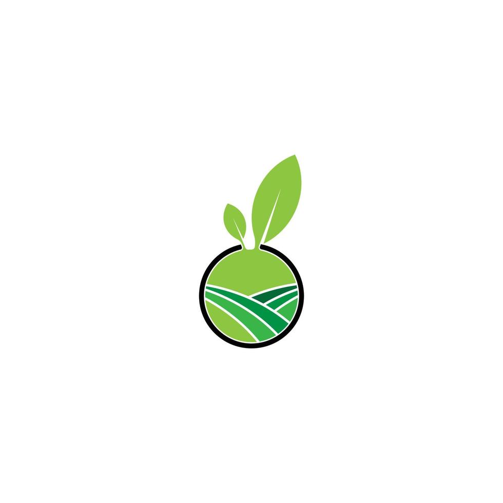 logo dell'agricoltura. design del logo foglia, concetto ecologico vettore