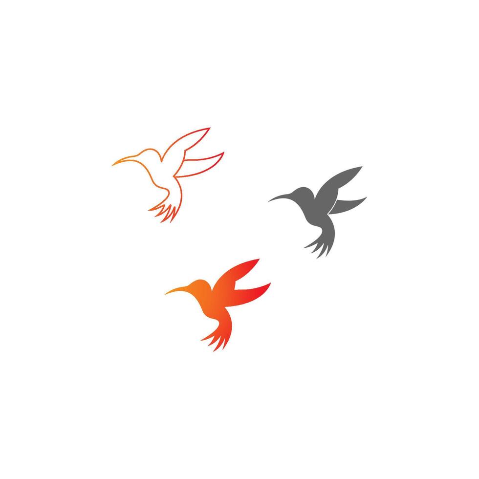 colibrì icona logo design creativo vettore