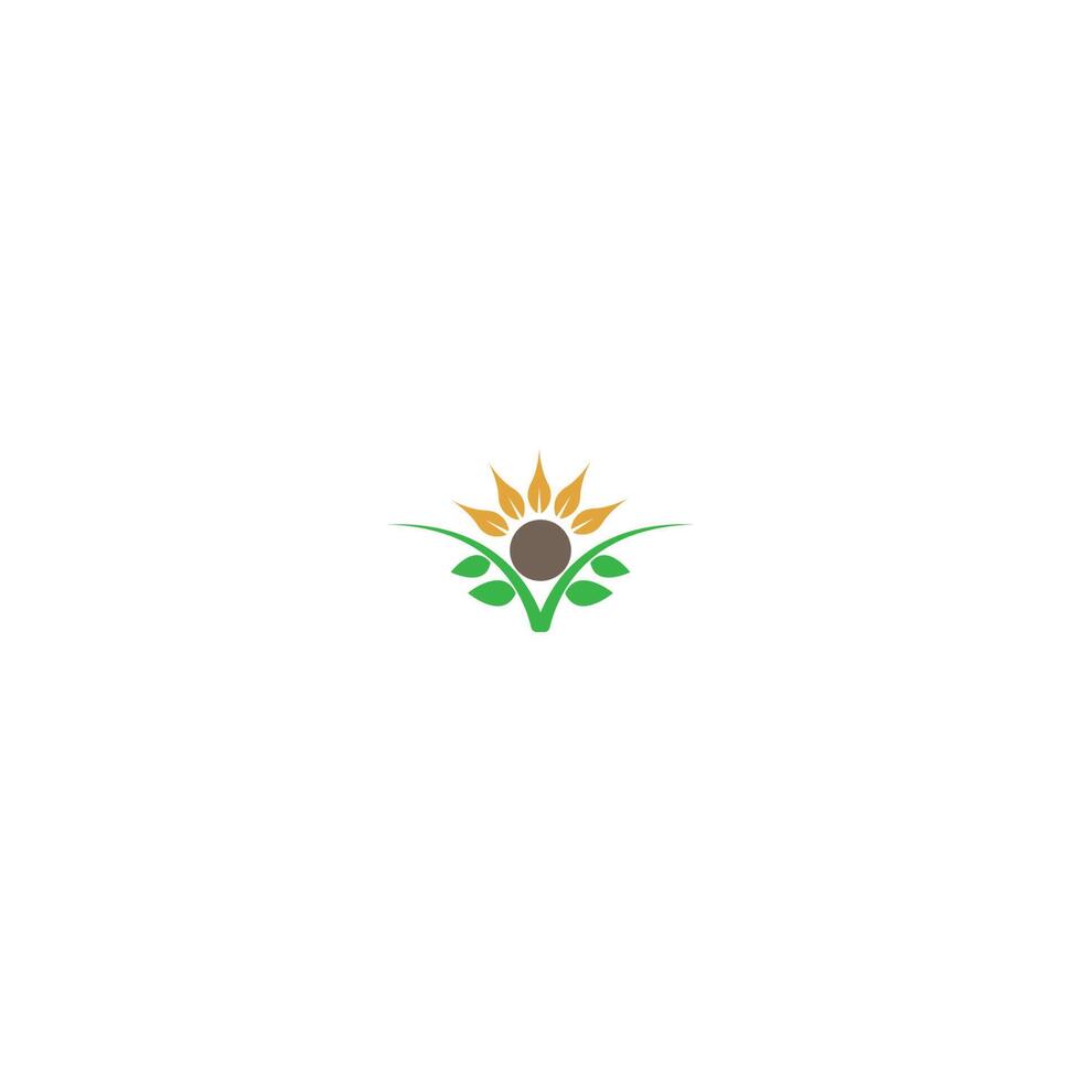 concetto di icona logo fiore sole vettore