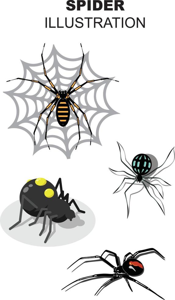 disegno dell'illustrazione del ragno vettore