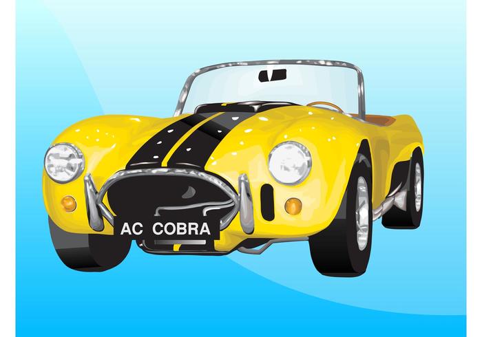 shelby cobra vettore