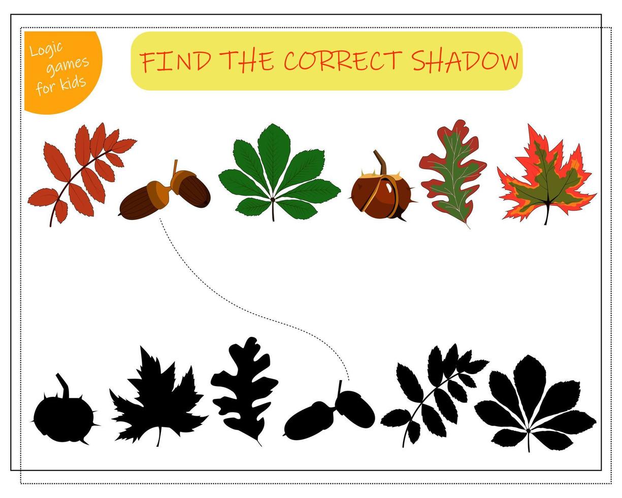 trova un'ombra adatta per le foglie degli alberi. acero, sorbo, quercia, castagno, ghianda vettore
