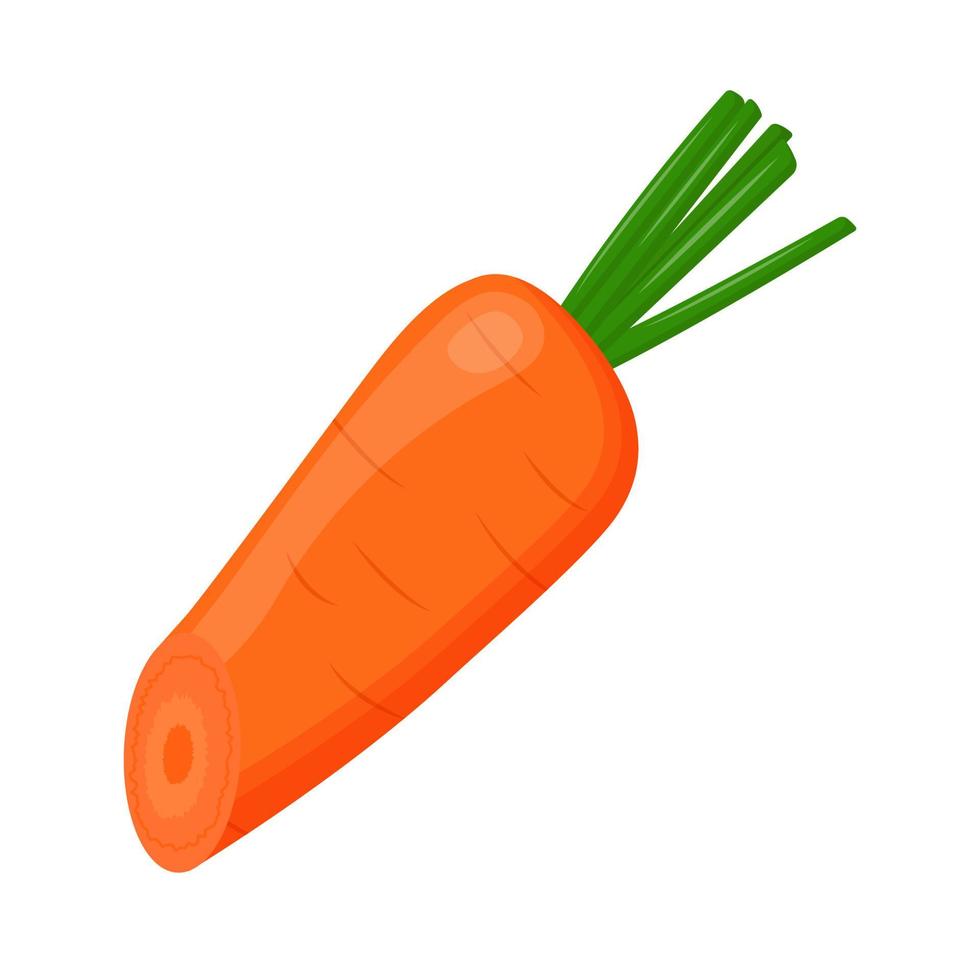 metà della carota isolata sullo sfondo. illustrazione vettoriale piatta.
