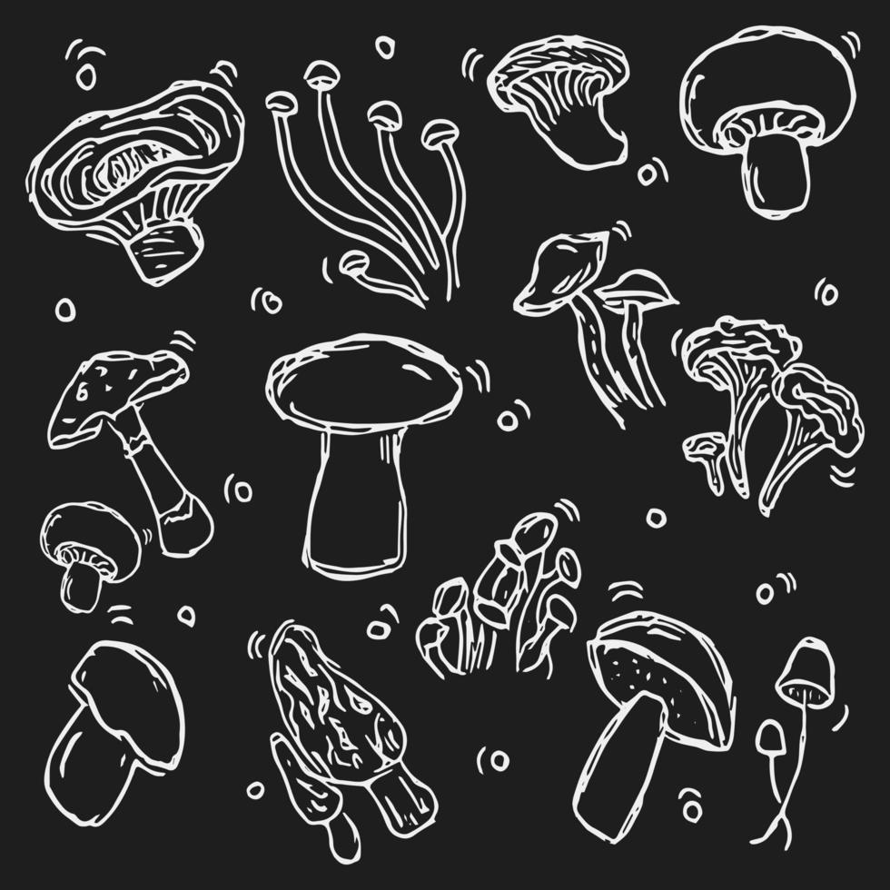 set di funghi. vettore di funghi. vettore di doodle con icone di funghi su sfondo nero