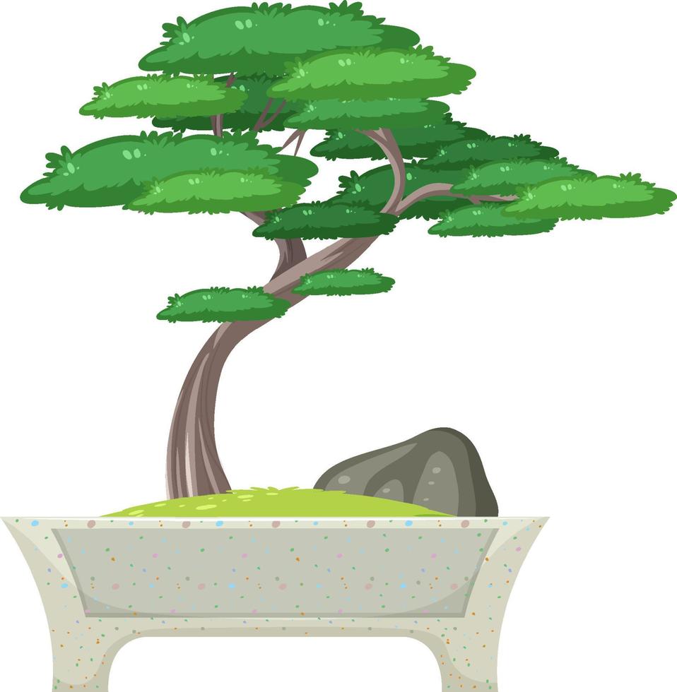 albero dei bonsai in vaso su sfondo bianco vettore