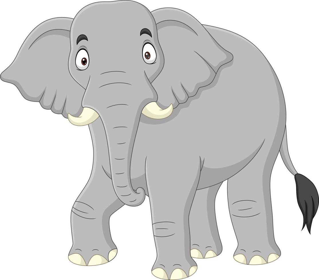 cartone animato elefante isolato su sfondo bianco vettore