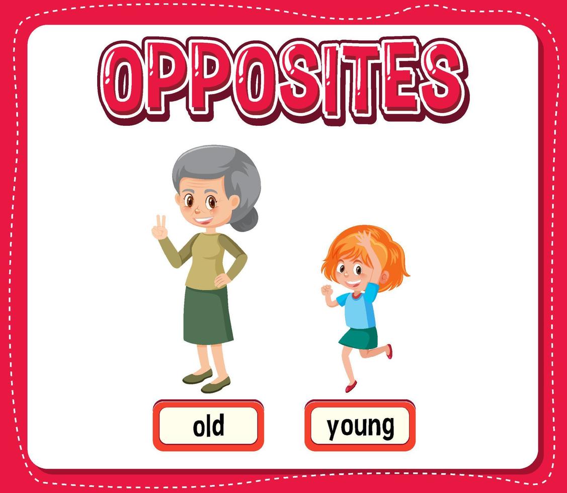 parole opposte per vecchi e giovani vettore