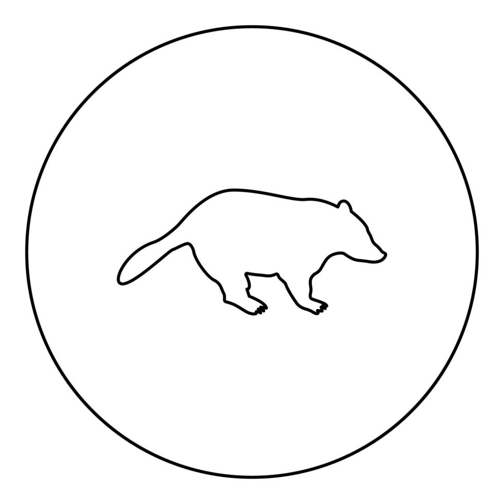 tasso animale selvatico meles taxus mammifero predatore famiglia kunihih carnivoro silhouette in cerchio rotondo colore nero illustrazione vettoriale contorno stile contorno immagine