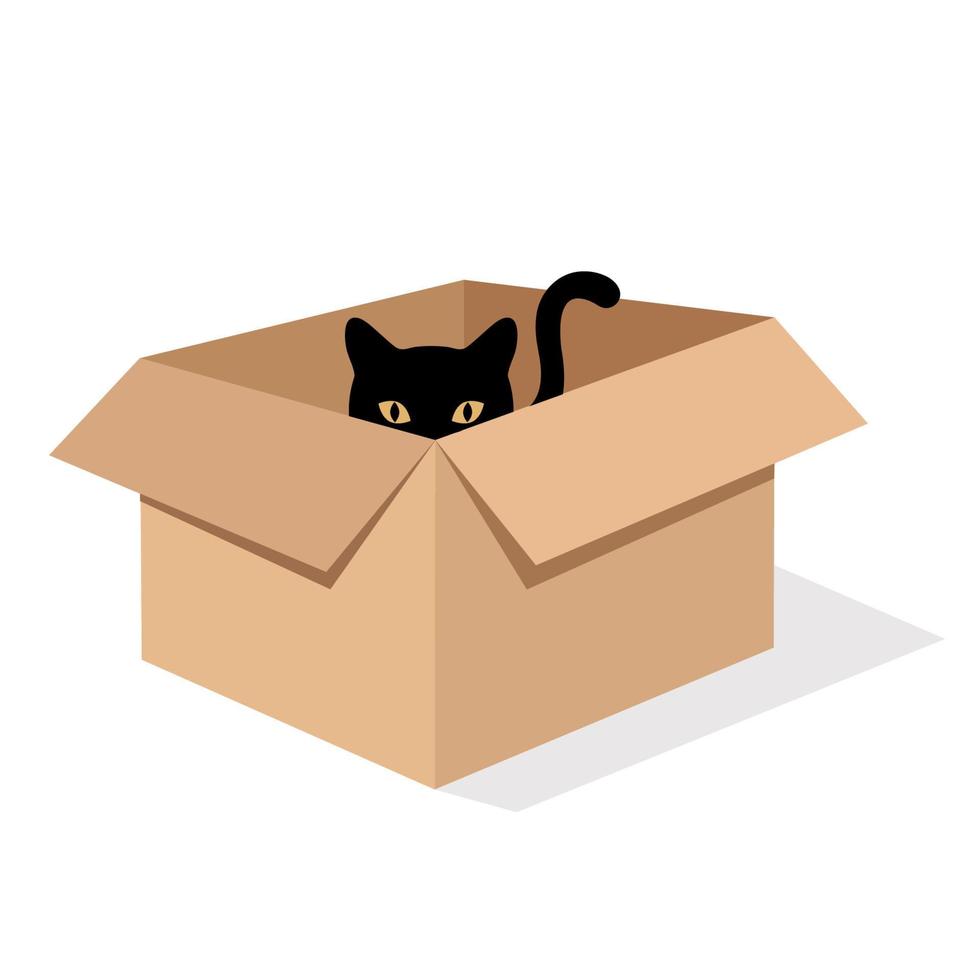 illustrazione di un simpatico gatto nero in una scatola vettore