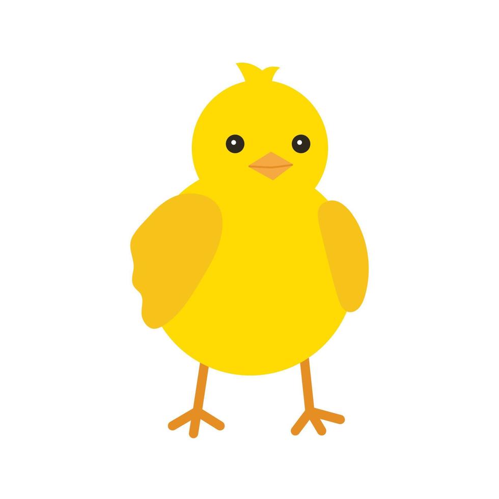 simpatico pollo giallo per il design pasquale. pulcino cartone animato giallo. illustrazione vettoriale isolato su sfondo bianco