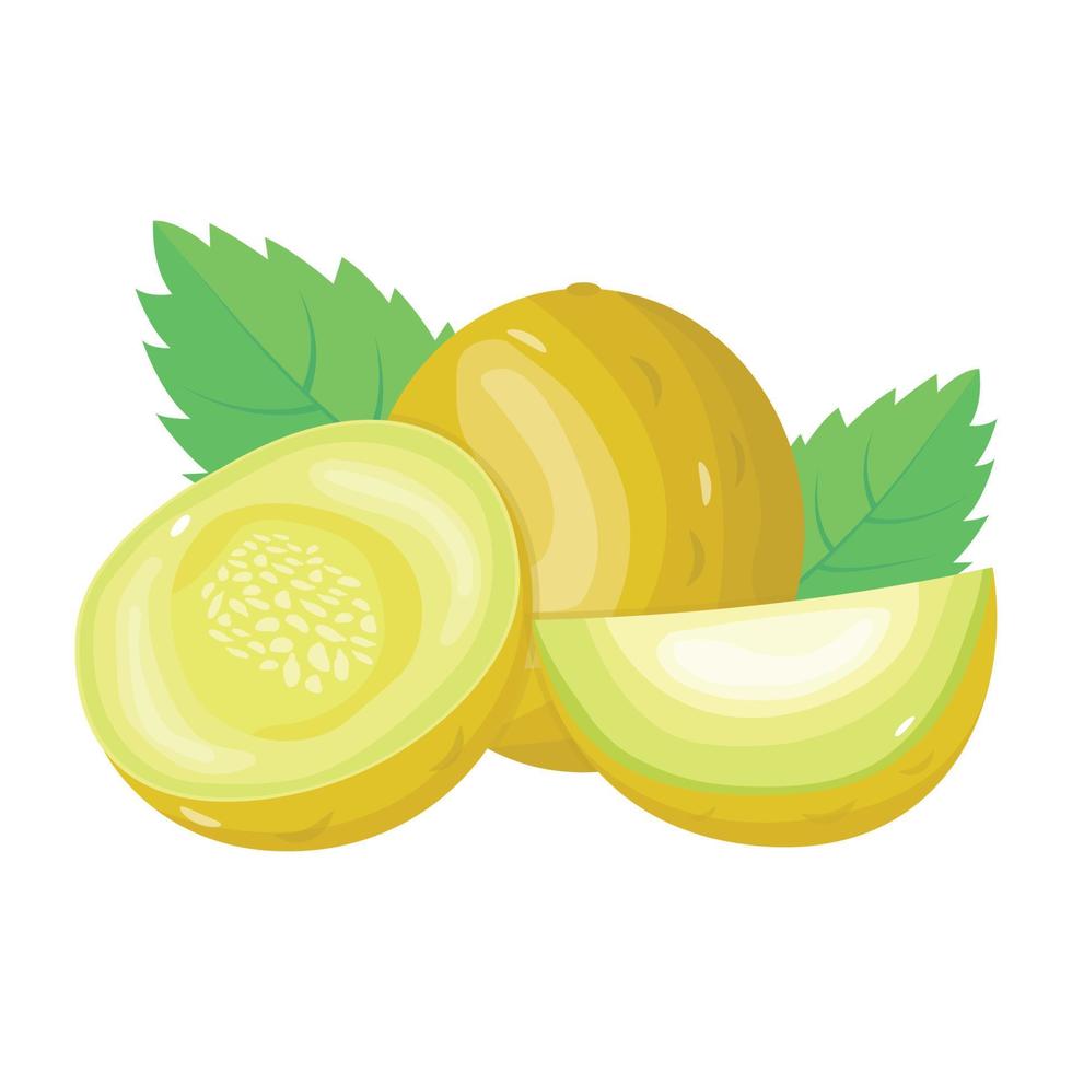 un'icona di melone in stile isometrico vettore