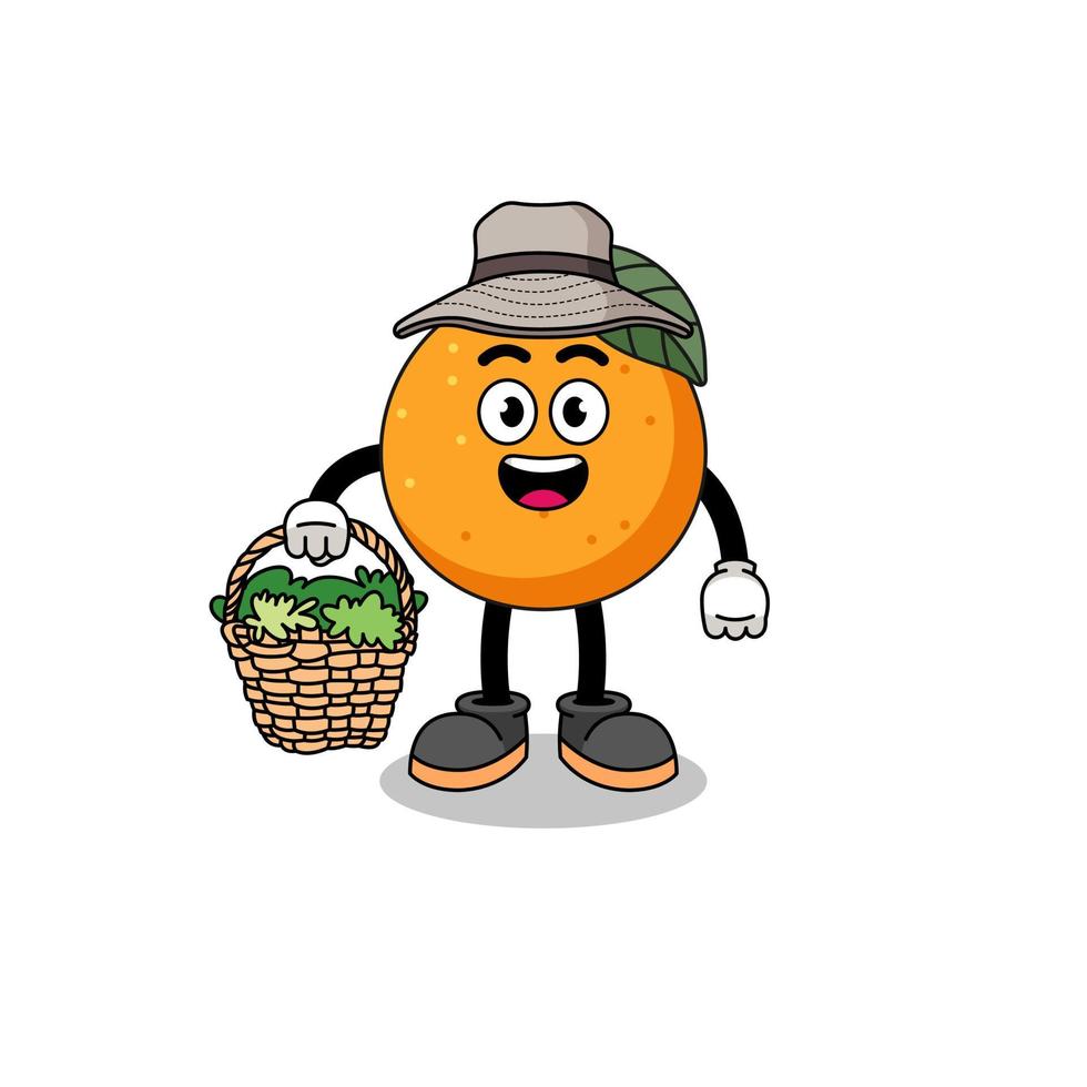 illustrazione del personaggio di frutta arancione come erborista vettore