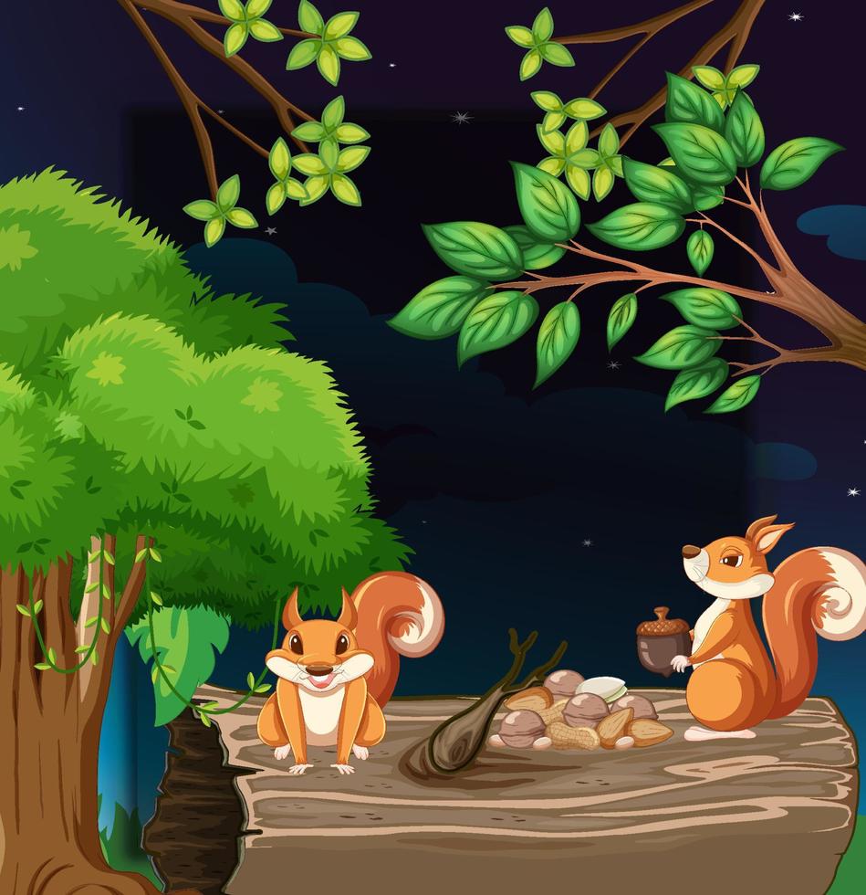 due scoiattoli che raccolgono noci di notte vettore