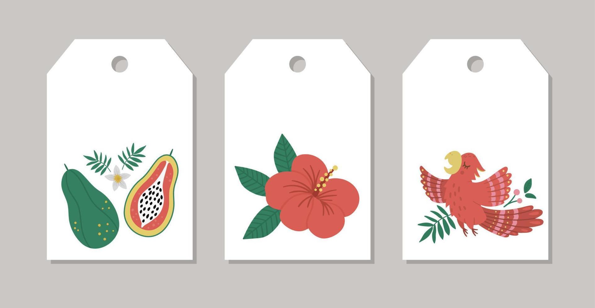 set di etichette regalo estive vettoriali, etichette, disegni prefabbricati con uccelli tropicali, fiori, frutta. divertenti modelli di carte esotiche con simpatici personaggi della giungla. vettore