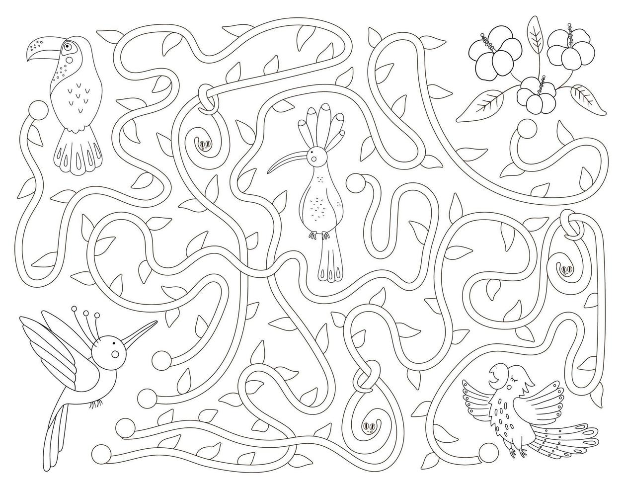 labirinto tropicale in bianco e nero per bambini. attività esotica prescolare. divertente puzzle della giungla con simpatico pappagallo, upupa e tucano. aiuta l'uccello ad arrivare al gioco dei fiori. divertente pagina da colorare per bambini vettore