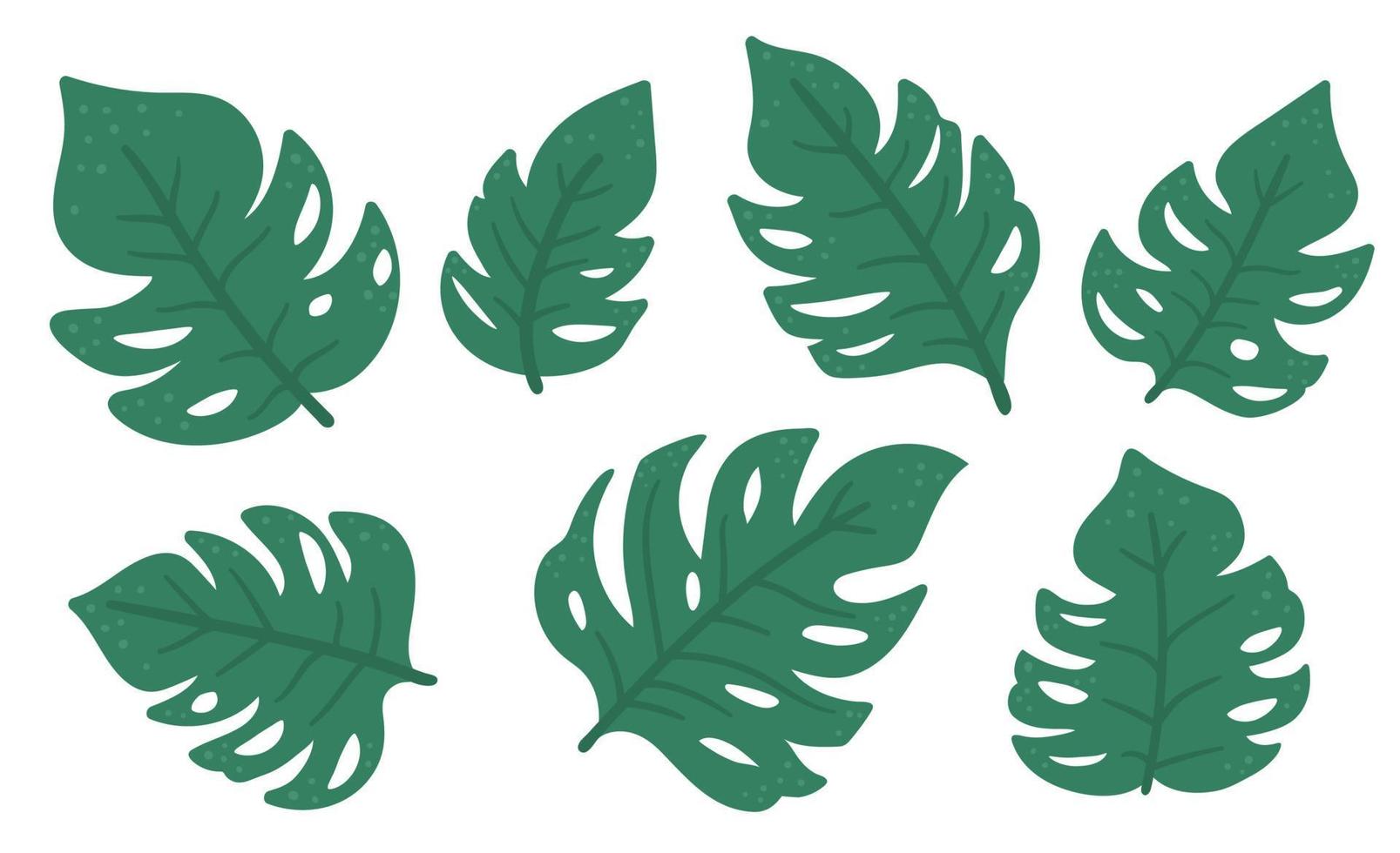 ClipArt di foglie di monstera tropicale vettoriale. illustrazione del fogliame della giungla. piante esotiche piatte disegnate a mano isolate su sfondo bianco. immagine luminosa del verde estivo infantile. vettore