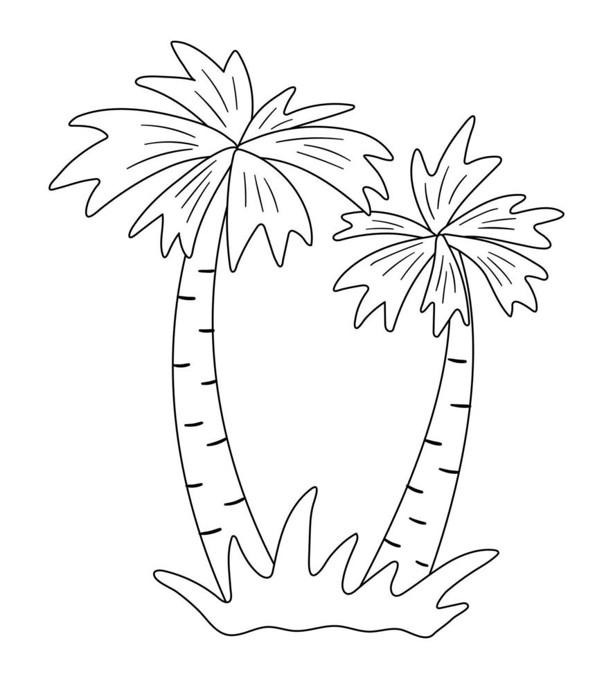 contorno di palma vettoriale. illustrazione in bianco e nero della pianta esotica tropicale divertente. divertente pagina da colorare per bambini. clipart estate giungla vettore