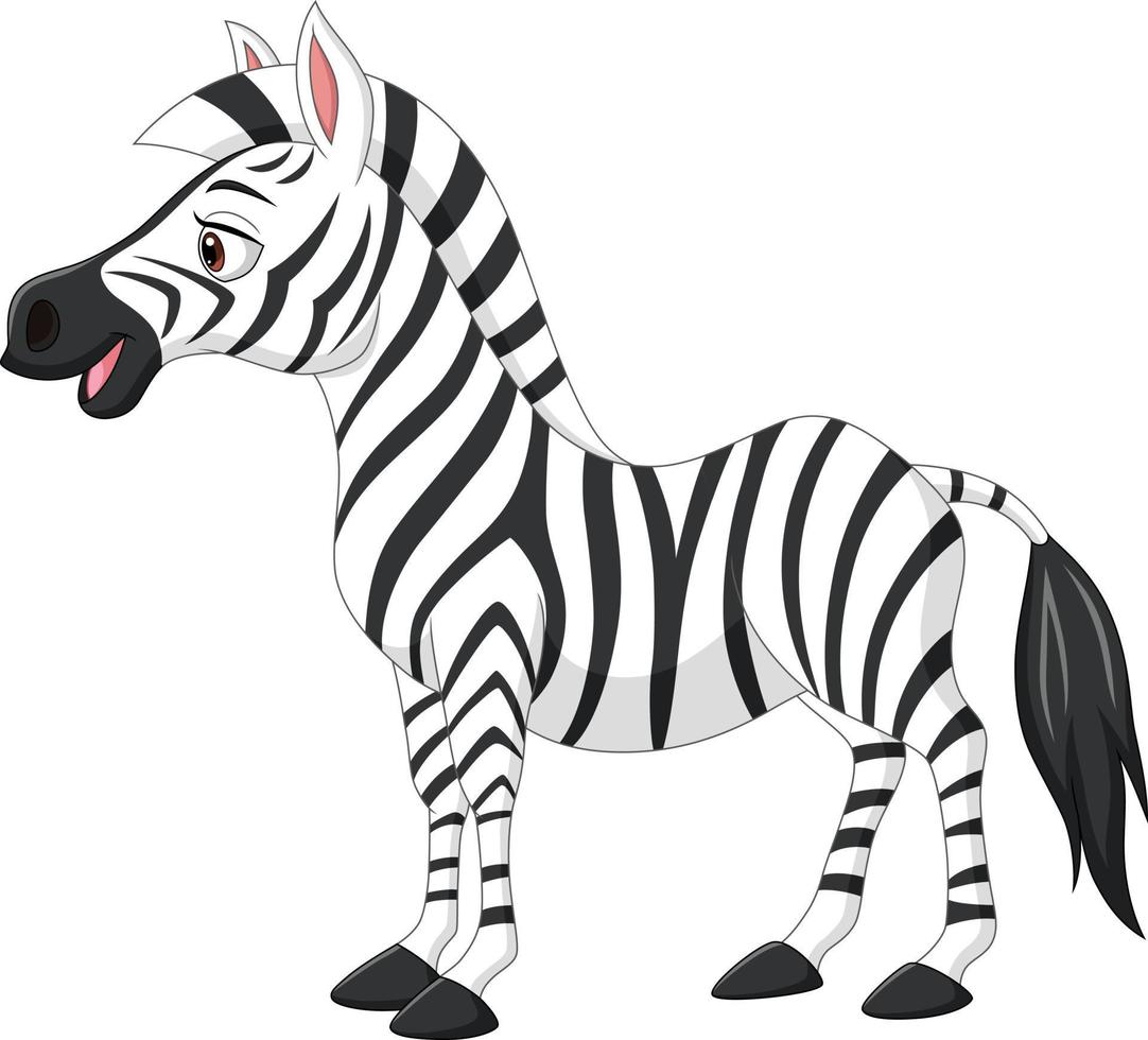 carino baby zebra isolato su sfondo bianco vettore