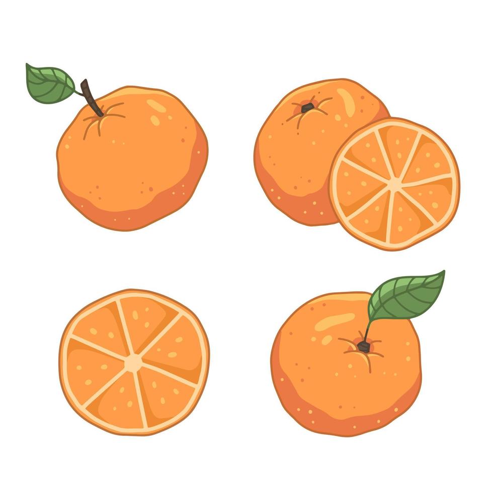 set con arance in stile cartone animato. un'arancia intera, una fetta d'arancia. illustrazione di cibo frutta isolato vettore