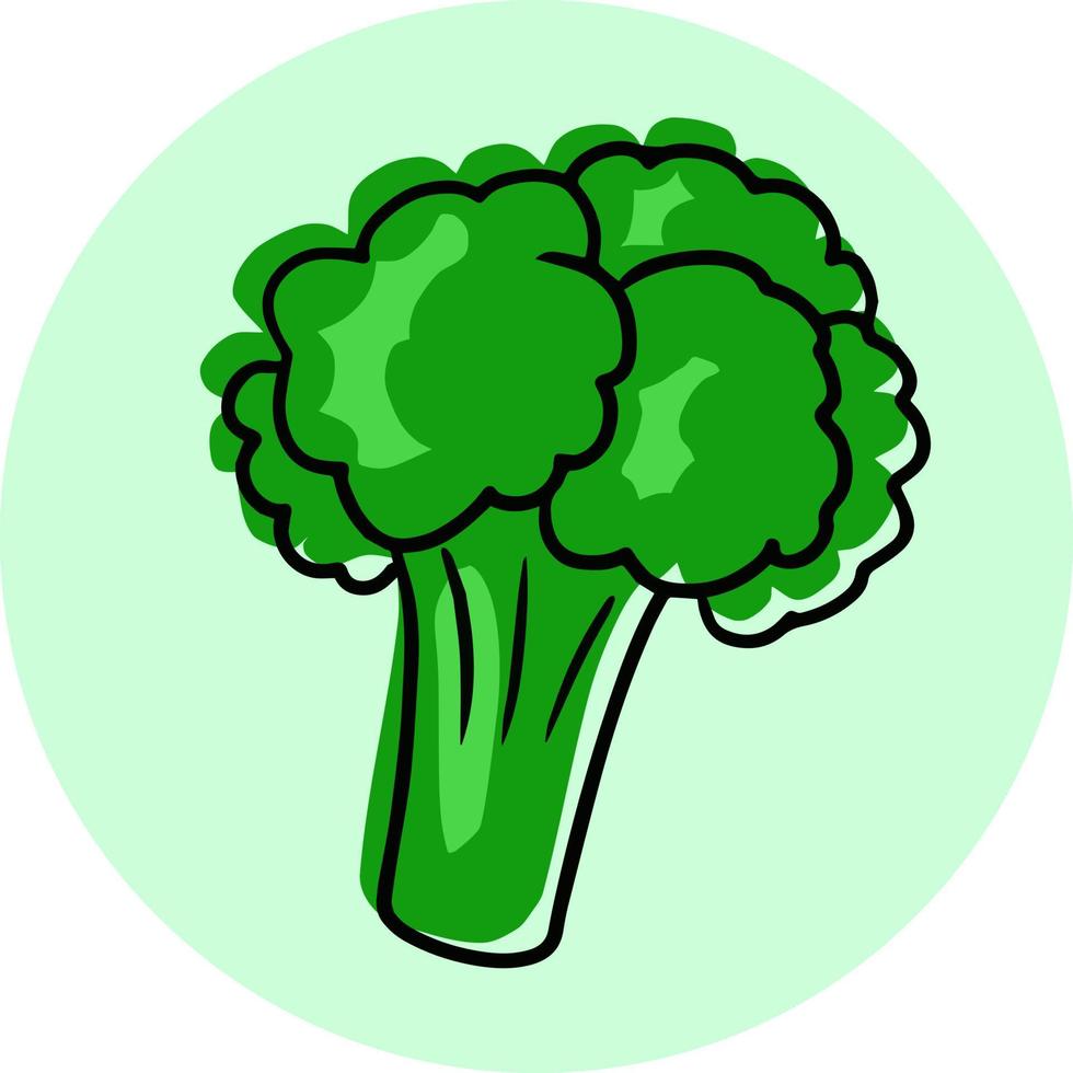 una carta rotonda, un'icona da un set con verdure. broccoli verdi, illustrazione vettoriale su sfondo chiaro.