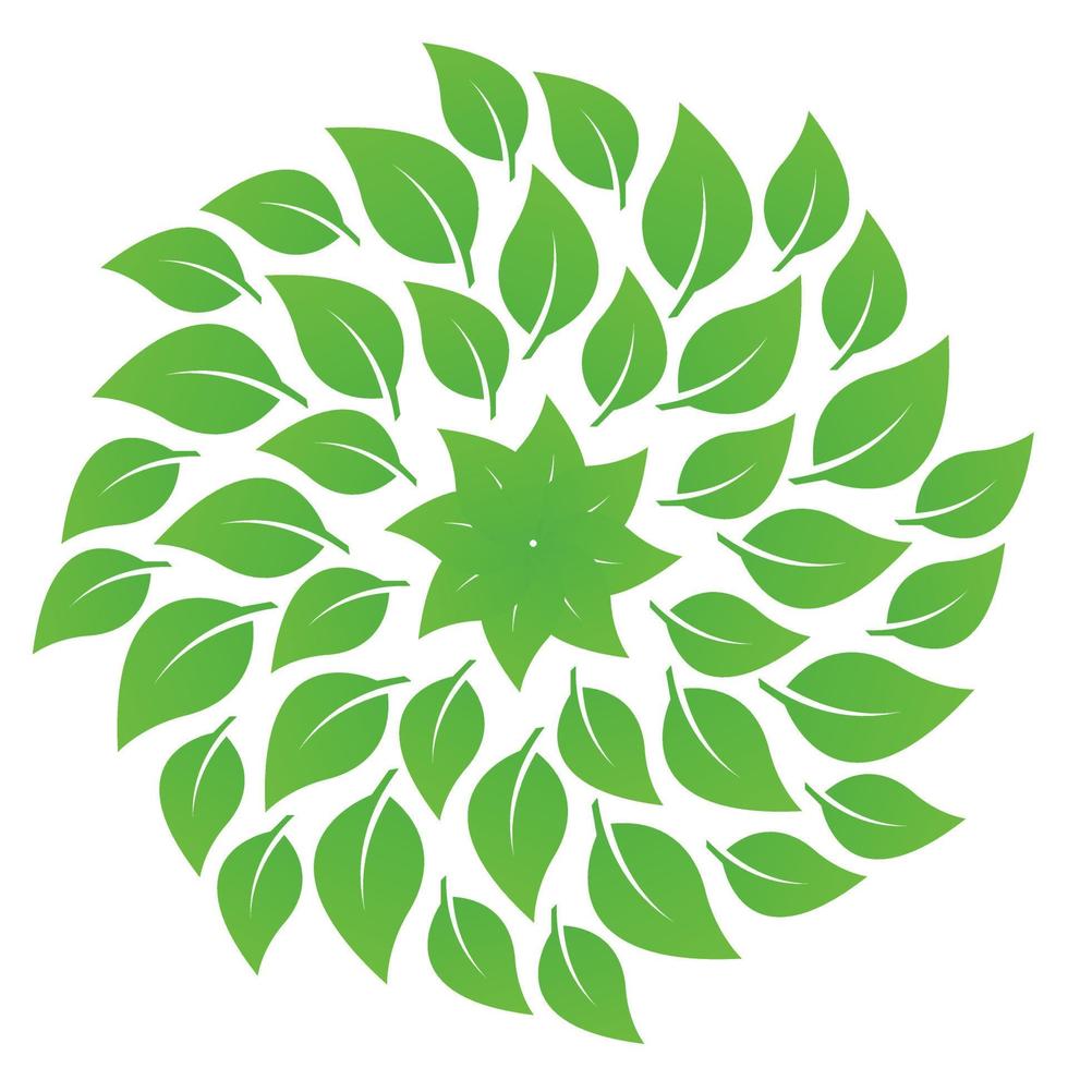 gruppo di foglie di diffusione disegno astratto su sfondo bianco, foglie verdi vorticose, modello di struttura foglia verde nel vettore, illustrazione vettore