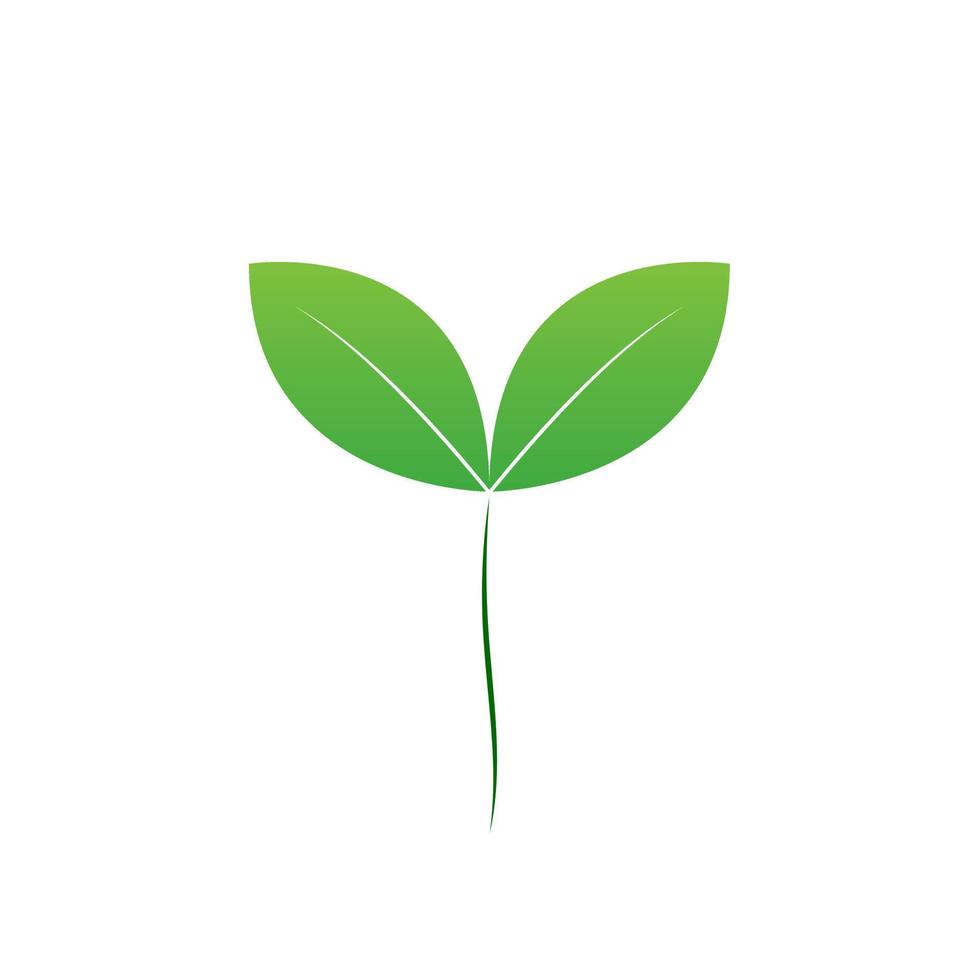 un seme di vettore di foglia verde, un design dell'icona di semi verdi micro e un elemento isolato di semi di verdure per bambini verdi naturali freschi.