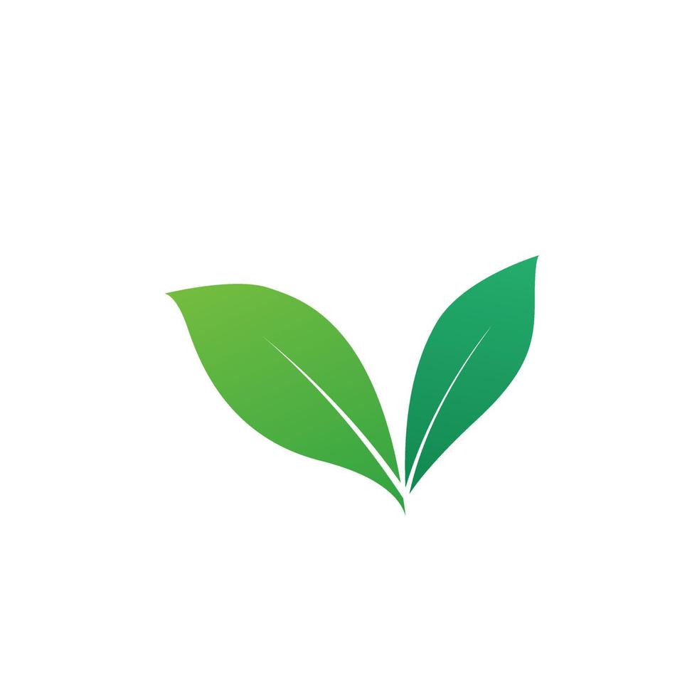 un'icona di foglie verdi su sfondo bianco. verde eco simbolo concept design con foglia verde illustrazione vettoriale isolato