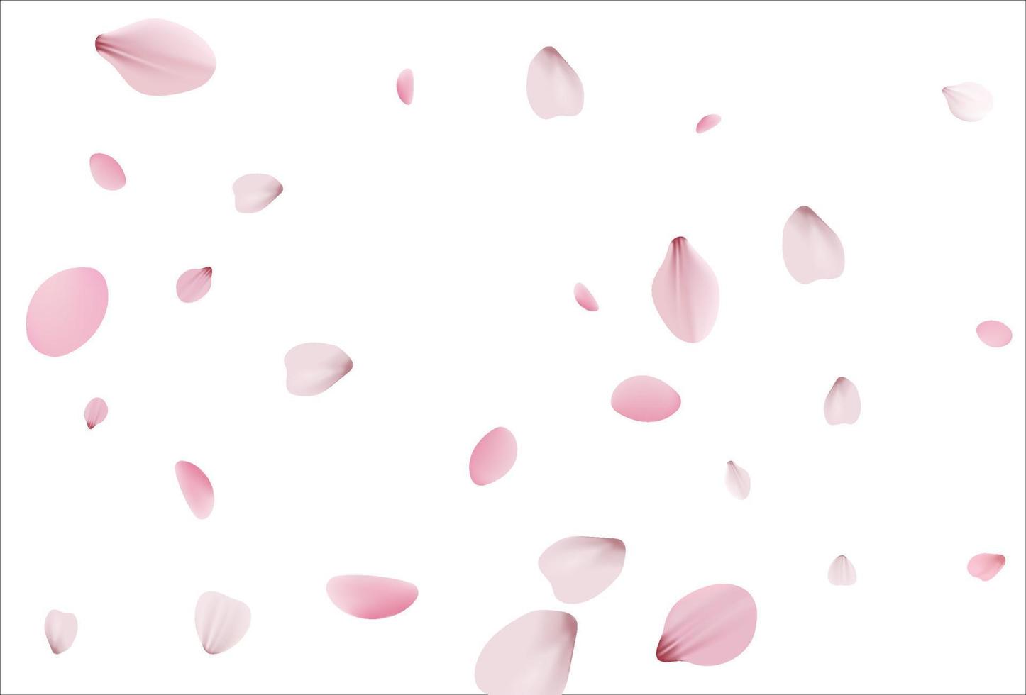 sfondo sakura, sfondo vettoriale ciliegia