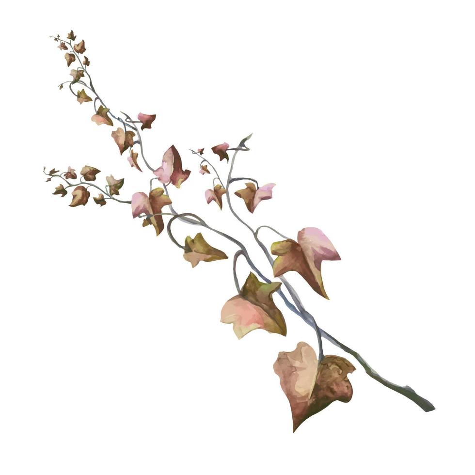 pianta di edera con foglie rosse e viti con rami, illustrazione di foglie morte autunnali vettore