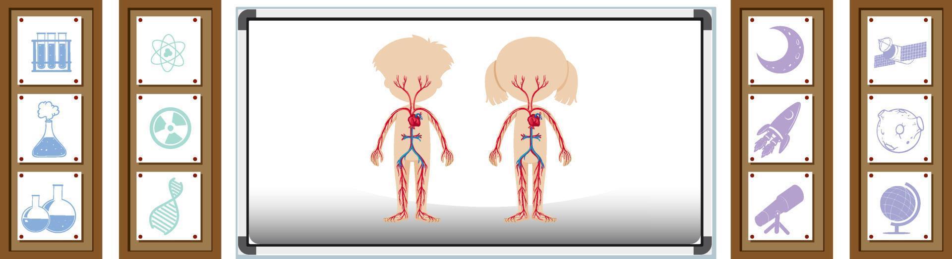 tavola che mostra l'anatomia umana vettore