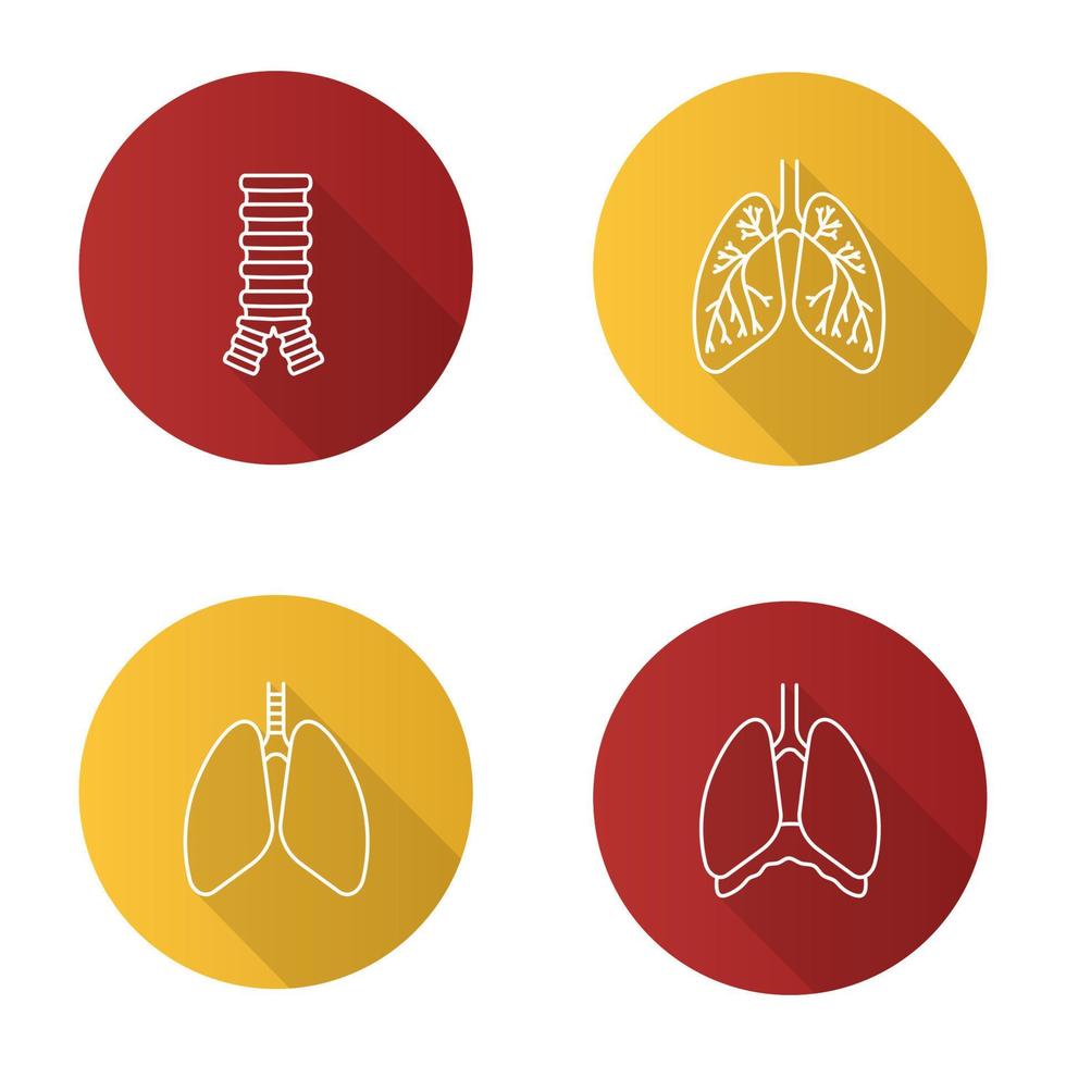 set di icone di ombra lunga lineare piatta per organi interni. sistema respiratorio. trachea, polmoni, bronchi, bronchioli, cavità toracica, diaframma. illustrazione del contorno vettoriale