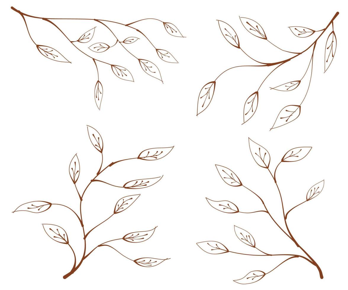 ramo, foglie, set di elementi floreali, elementi vettoriali foglie, foglie disegnate a mano, ramo e foglie, illustrazione elegante per foglia di design