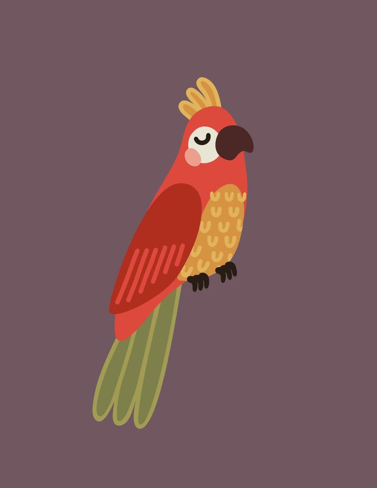 pappagallo a colori dei cartoni animati vettore