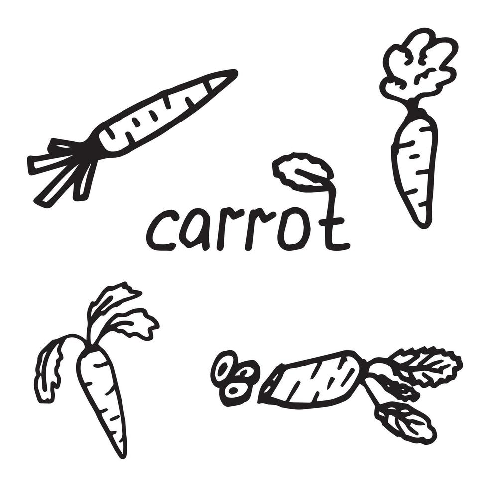 carota in stile doodle vettore