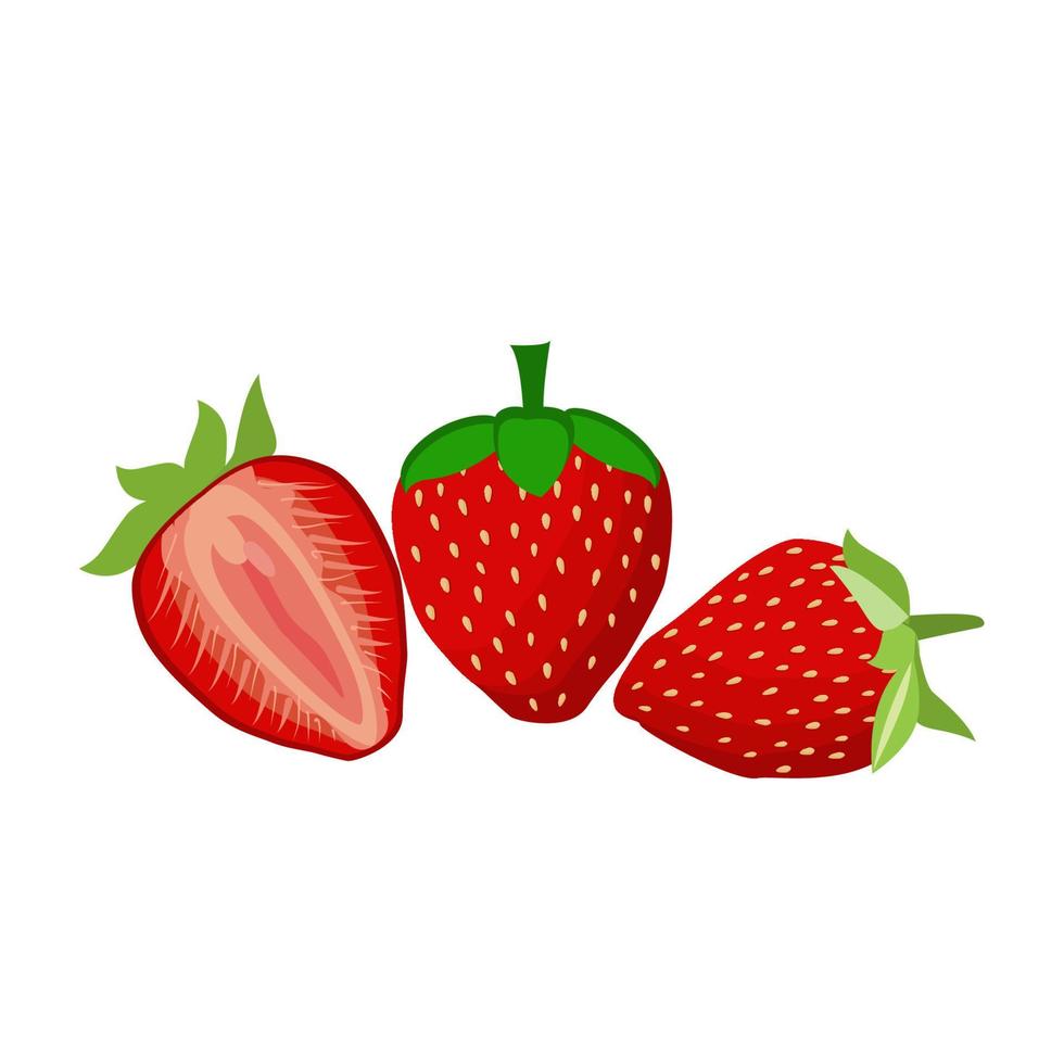 fragola isolata. fragole con foglie isolate. intera e metà di fragola su bianco. fragole isolate. vista laterale fragole set.vector illustrazione. vettore