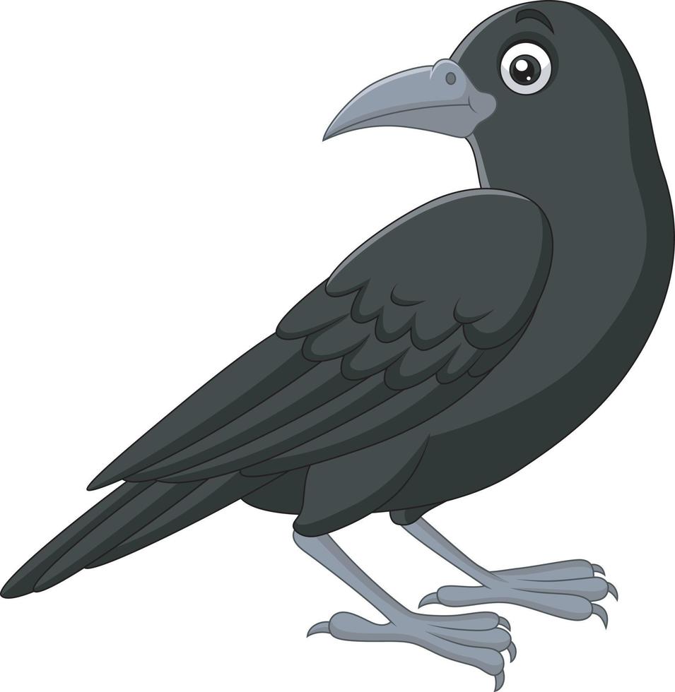 corvo cartone animato isolato su sfondo bianco vettore