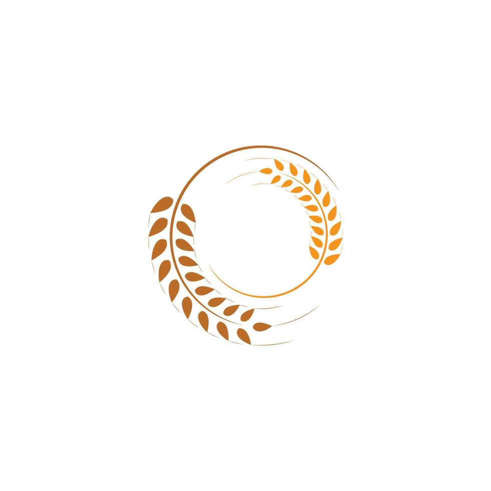 vettore del modello di logo del grano agricolo