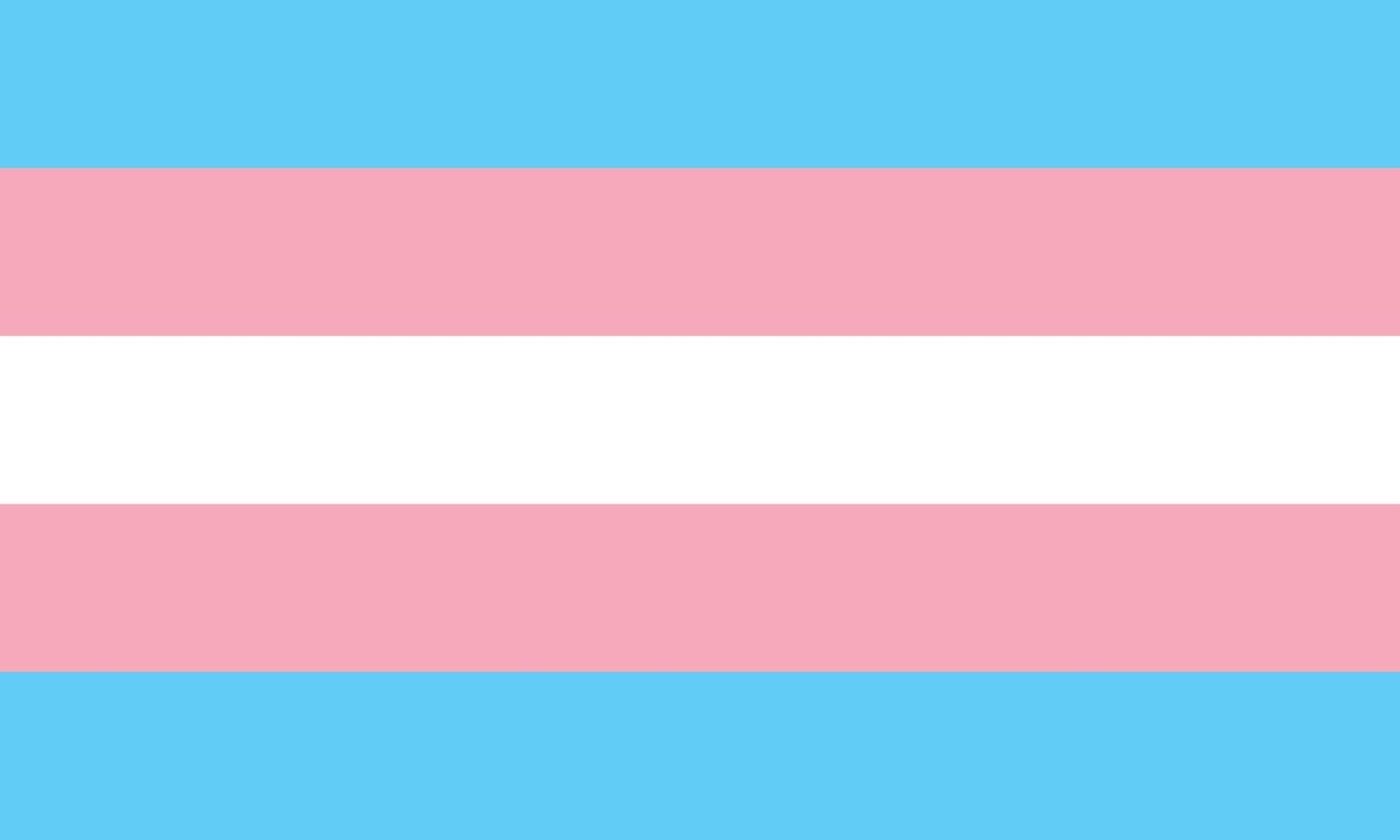 la bandiera dell'orgoglio transgender - bandiera dell'orgoglio a strisce pentacolori azzurre, rosa e bianche, simbolo della comunità transgender. parte dei simboli della serie lgbt vettore